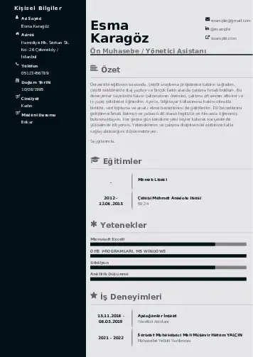 Yönetici Asistanı Cv Örnekleri cv indir
